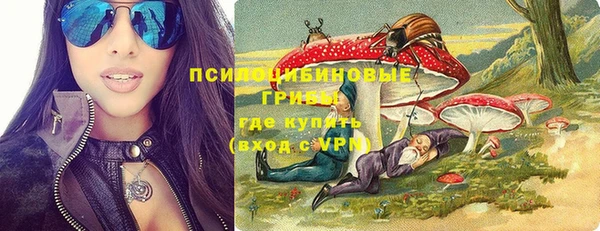 гидра Армянск