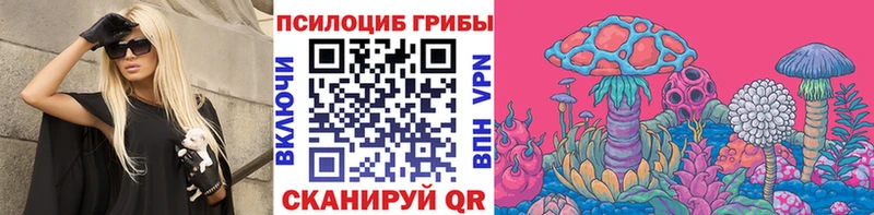где найти   omg   Псилоцибиновые грибы прущие грибы  Ивдель 